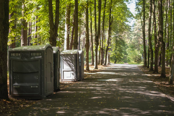 Best Local porta potty services  in Blountville, TN